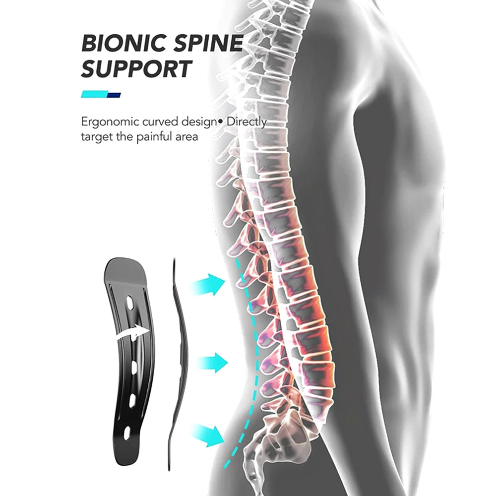 Back Brace for Posture and Lower Back Pain